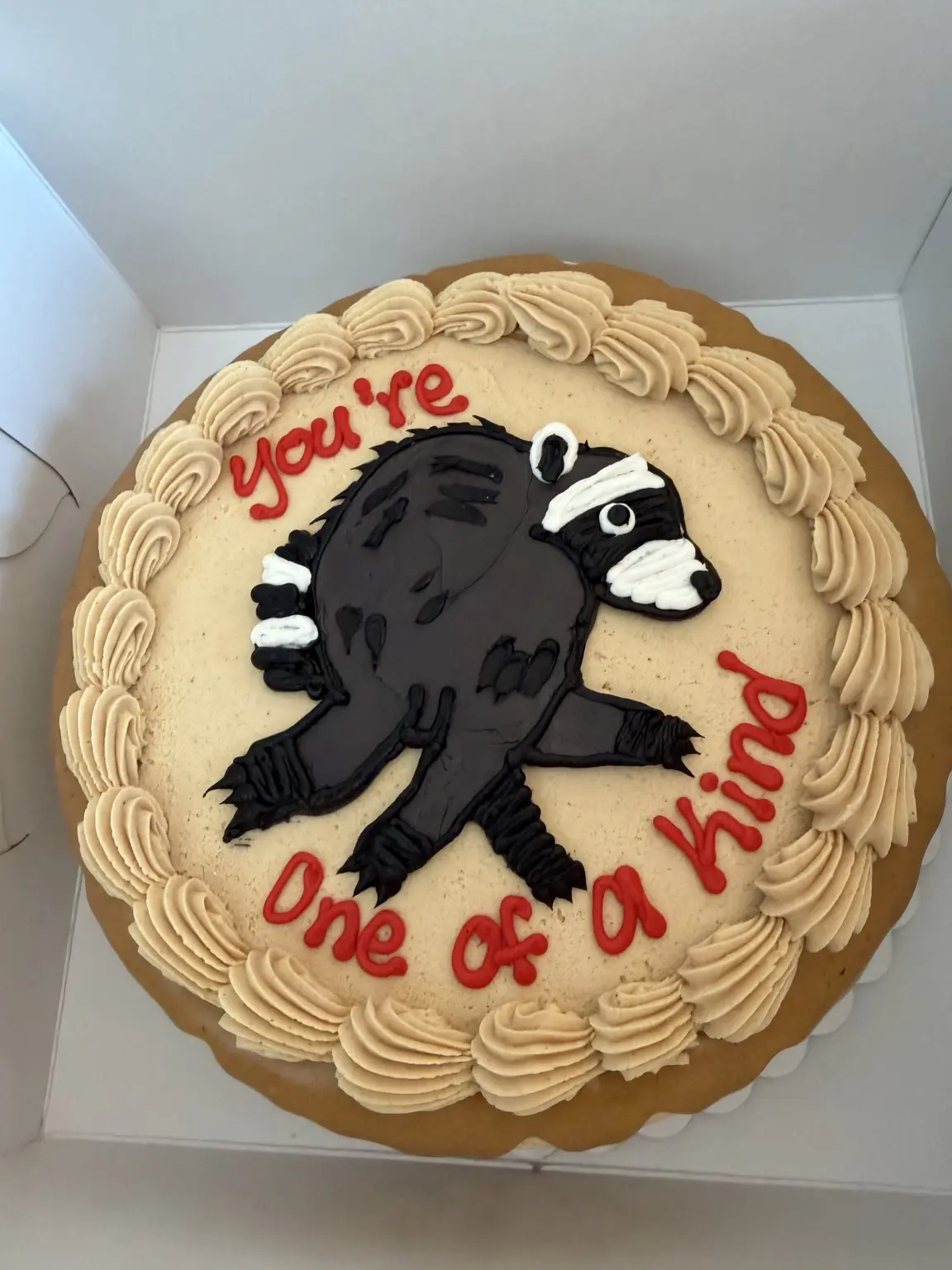 Jimothy the raccoon cake, view 1