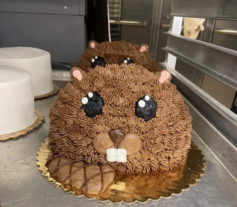 Sculpted beaver cake